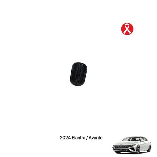 Hyundai 2024 elantra avante - 2024,