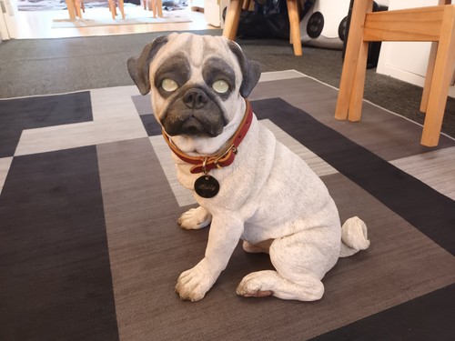 Pug puppy country artists - pug,