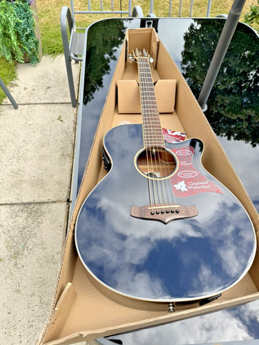 Tanglewood winterleaf tw4 - tanglewood, bk