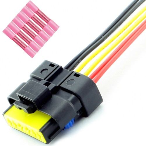Rep plug window - plug, regulator