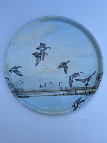 Vintage rspb thetford tray - vintage,