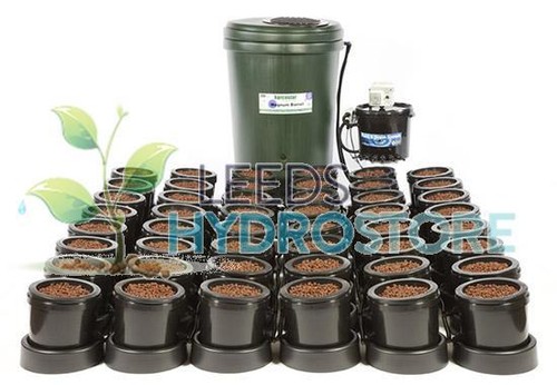 Iws flood drain pot - ,