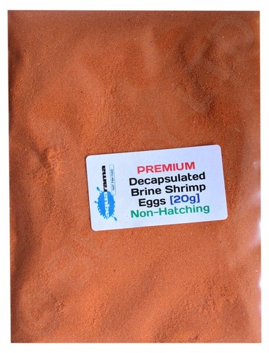 Decapsulated brine shrimp eggs - decapsulated,