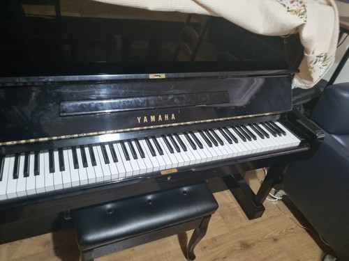 Yamaha b10 upright - yamaha, polished