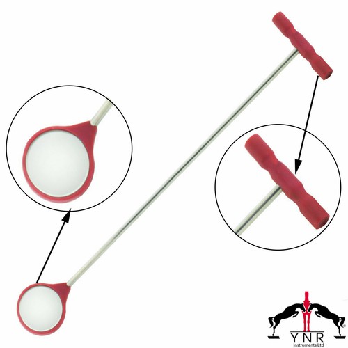 Ynr equine dental mouth mirror - equine,