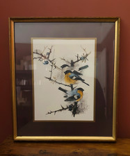 Vintage Framed Bird Print