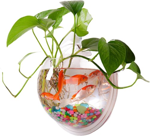 Alipis wall mounted fish - wall,