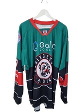 NIHL Basingstoke Bison Ice