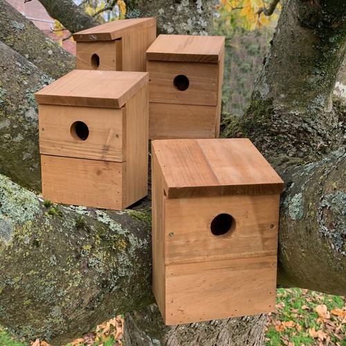 Wooden multi hole wild bird - wild,