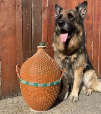 Vintage Antique Large Glass Jar Bottle Carboy Demijohn Garden Planter Terrarium