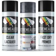 Aerosol Spray Paint for BMW
