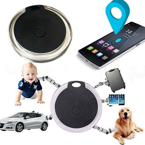 Mini pet cat - pet, gps
