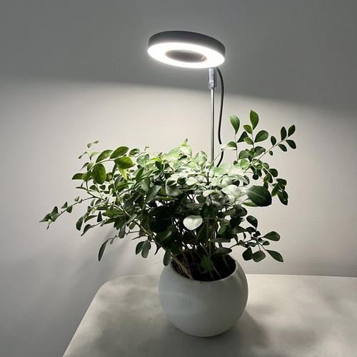 Led grow light plant - light,