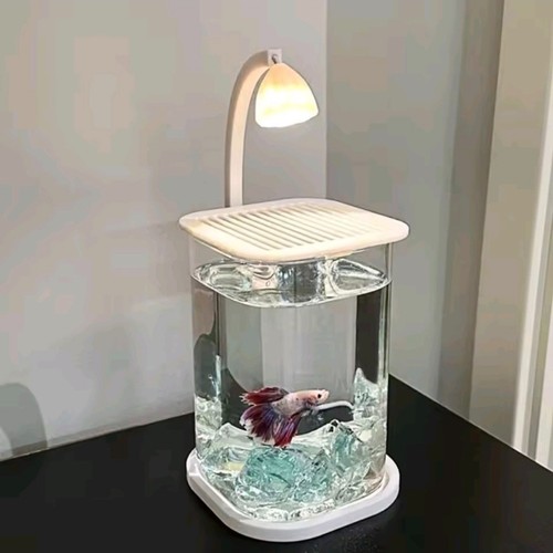 Mini desktop acrylic - acrylic, tank