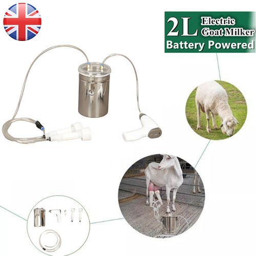 Milking machine for sheep - milking, &