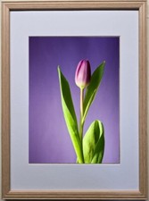 LW GOLD / SILVER / BLACK / OAK