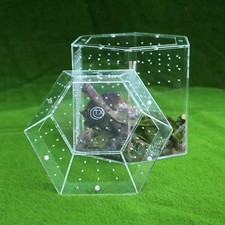 Reptile Terrarium Acrylic Feeding Box Ventilation Holes Tarantula Enclosure