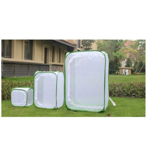 Pop net insect cage - insect,