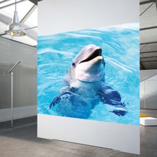 Rear Projection Screen Film Holographic Home Meeting Room Airport 3D Show 60x40"