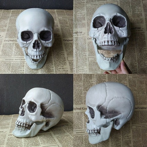 Halloween artificial skull - halloween,
