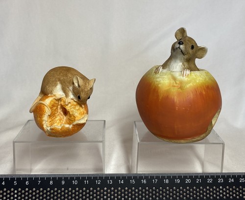 Bundle mouse eating satsuma - eating,