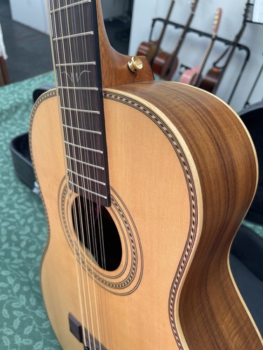 Vintage paul brett electro - brett,