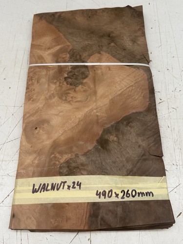 European walnut veneer - -, 24