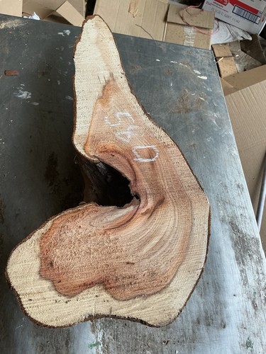 Yew blank - yew,yew, wood,yew
