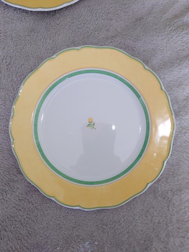 Wedgwood summer dream - summer,