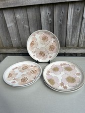 Vintage Retro Denby Gypsy Wild