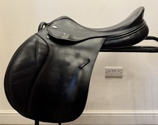 17 1/2” Jaguar Harry Dabbs