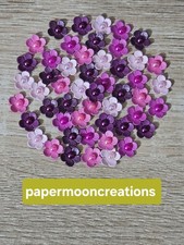 50 Small Phlox Mix Flower