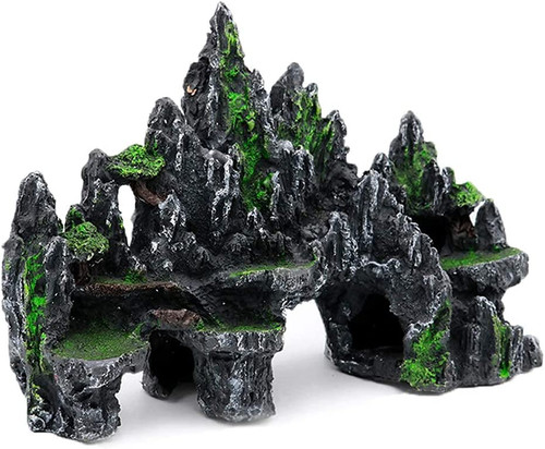 Large fish tank - large, decorations