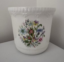 Aynsley Wild Tudor Large Plant