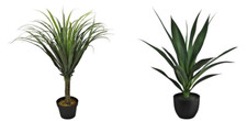 Realistic Artificial Yucca