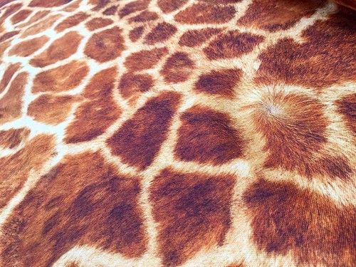 Giraffe fabric animal print - giraffe,