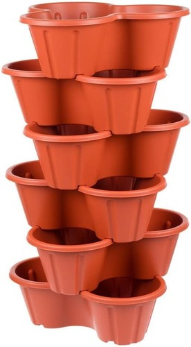 Set trio strawberry - of, 6