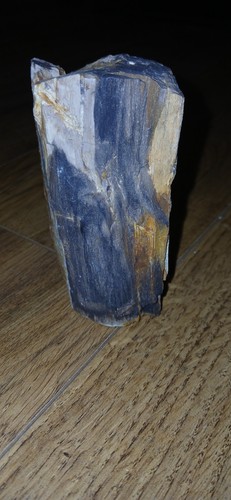 Petrified plant wood - petrified,