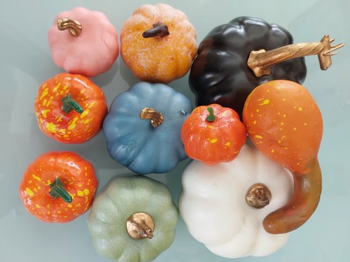 Pumpkin various sizes - various,