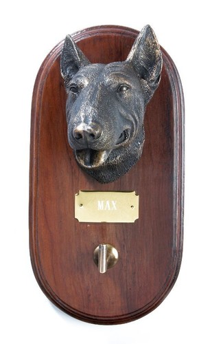 English bull terrier dog lead - terrier,
