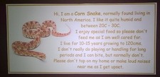 Vivarium - CORN SNAKE - MILK SNAKE - PYTHON - Fun - Birthday Gift