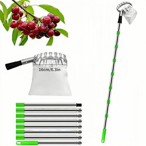 Long handle fruit - fruit, 11