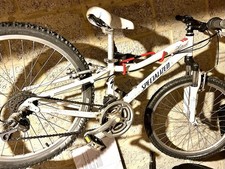 Specialized Hotrock Mountain