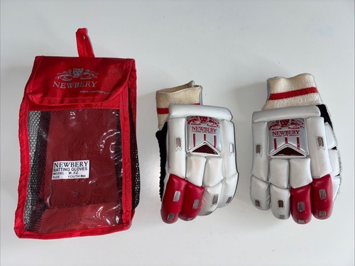 Newbery b52 cricket batting - cricket,