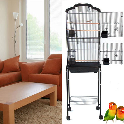 New large canary parakeet - 64",