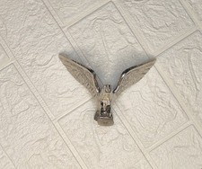 Flying Eagle Mascot Front