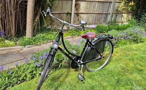 Womens pashley sovereign - pashley,