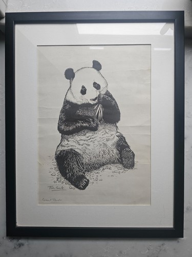 Vintage sir peter scott - vintage,