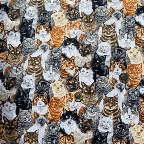 Kitty cats print 100 craft - kitty,