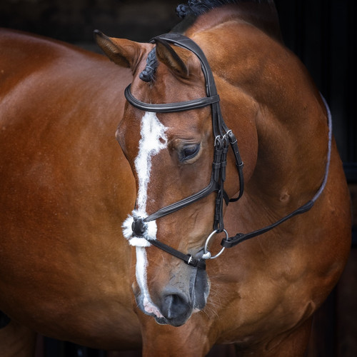 Shires velociti rapida leather - shires,